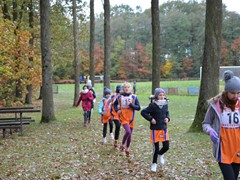 Finał Wojewódzkich Igrzyska Dzieci w sztafetowych biegach przełajowych (5)